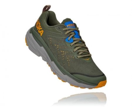 Scarpa da corsa Hoka Challenger ATR 6 da uomo Thyme / Sharkskin