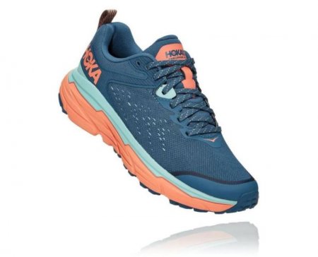 Hoka Challenger ATR 6 Donna Verde acqua / Cantalupo